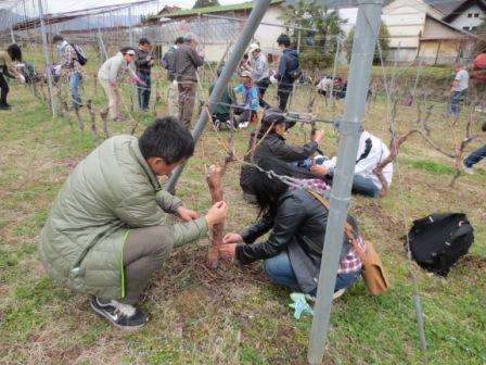 画像 925.jpg
